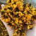 昆仑雪菊新疆雪菊无硫烘干新花干净批发零售