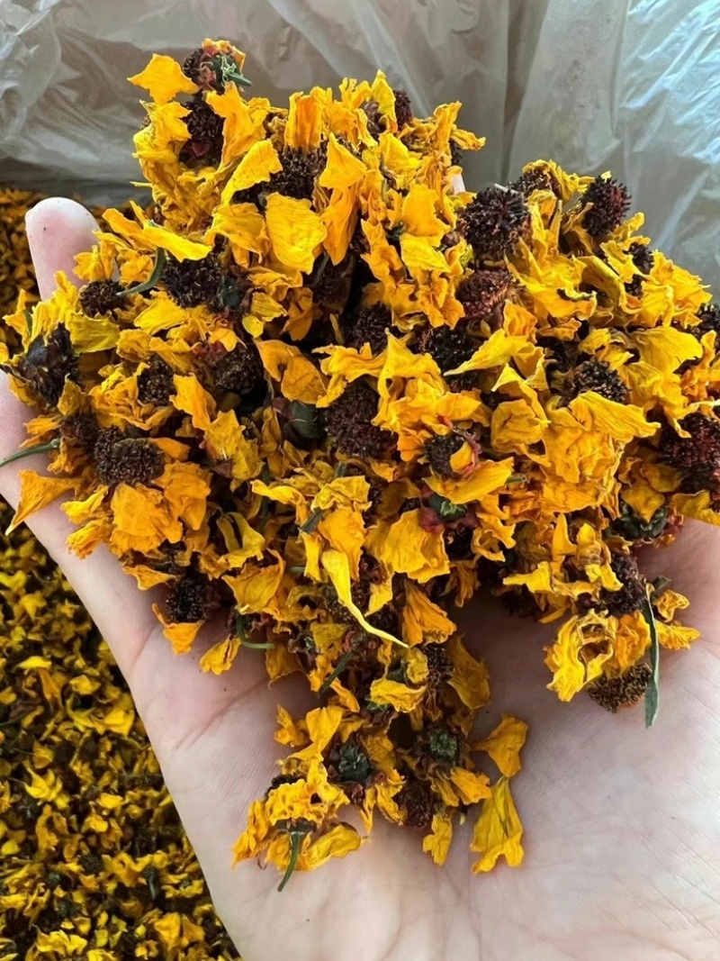 昆仑雪菊新疆雪菊无硫烘干新花干净批发零售