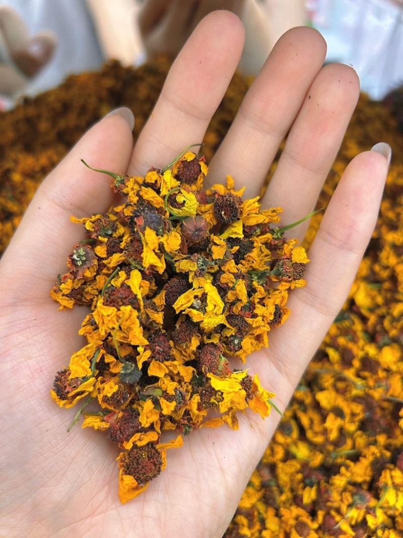 昆仑雪菊新疆雪菊无硫烘干新花干净批发零售