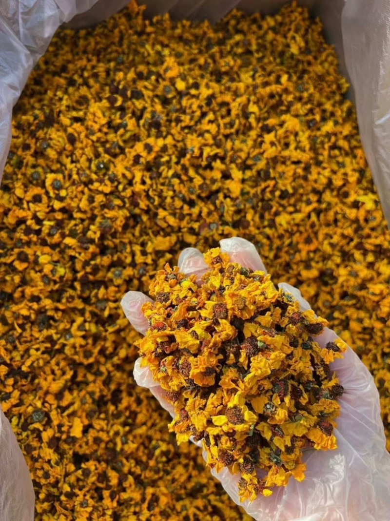 昆仑雪菊新疆雪菊无硫烘干新花干净批发零售