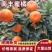 湖南怀化芷江高山南丰密桔糖度高口感好产地直供保证质量