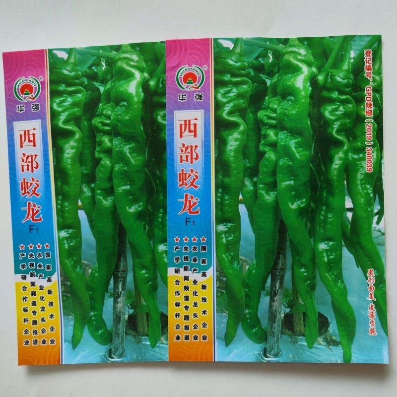 西部蛟龙螺丝椒种子早熟高产抗病质嫩香辣薄皮口感好辣椒种子