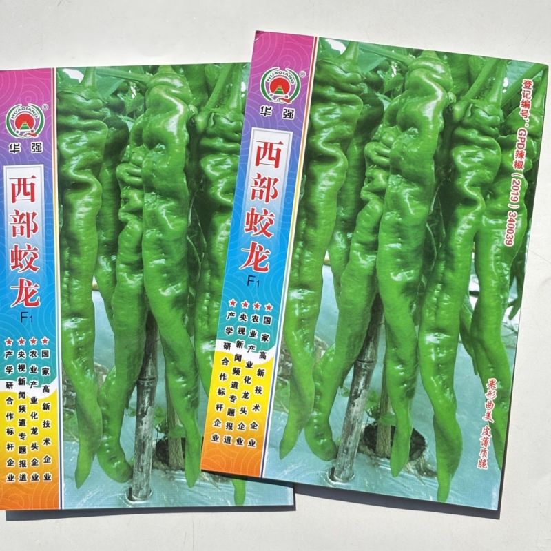 西部蛟龙螺丝椒种子早熟高产抗病质嫩香辣薄皮口感好辣椒种子