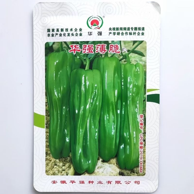 华强薄脆薄皮辣椒种子大果早熟高产泡椒皱皮椒种籽春秋播蔬菜