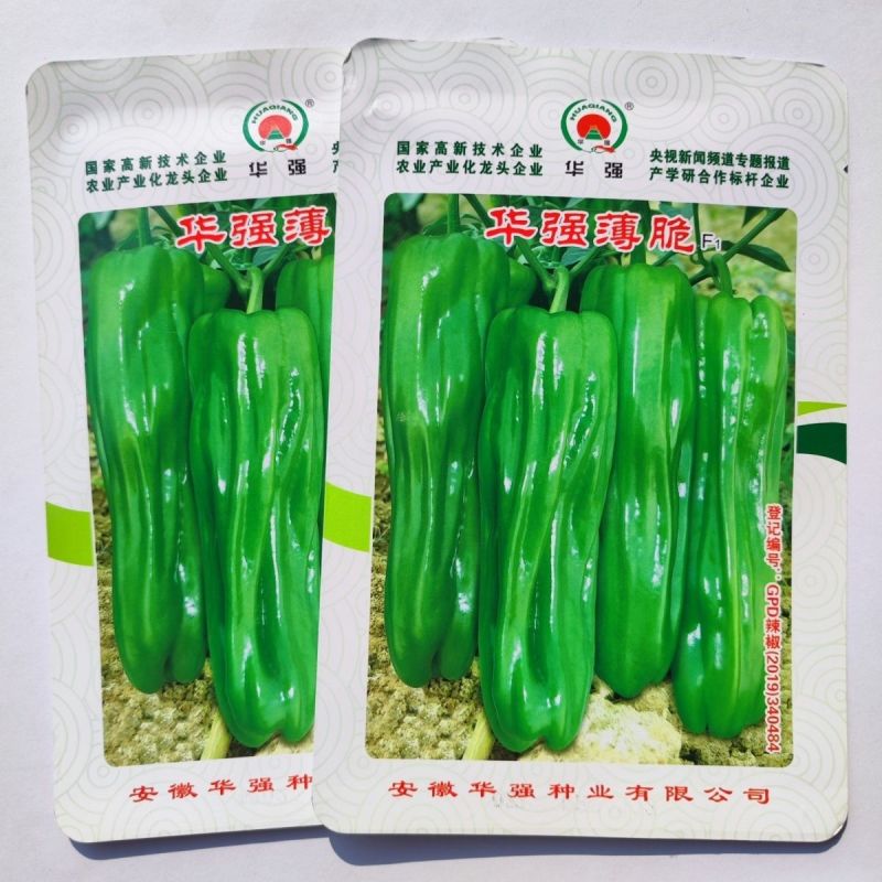 华强薄脆薄皮辣椒种子大果早熟高产泡椒皱皮椒种籽春秋播蔬菜