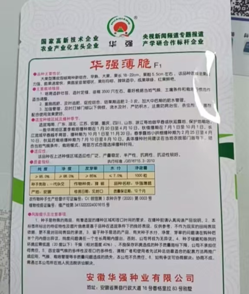 华强薄脆薄皮辣椒种子大果早熟高产泡椒皱皮椒种籽春秋播蔬菜