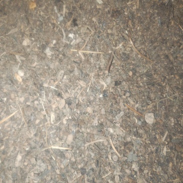 大量出售中药渣