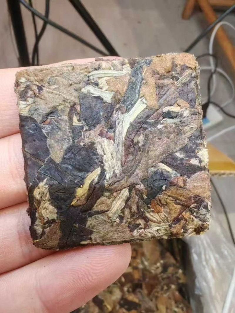 茶厂清仓换钱生茶龙珠、方片一口料全国发货一手货源