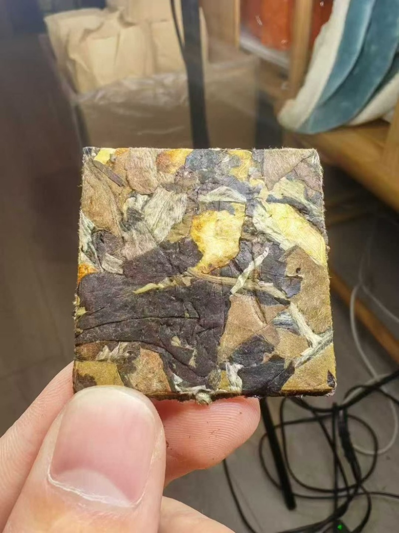 茶厂清仓换钱生茶龙珠、方片一口料全国发货一手货源