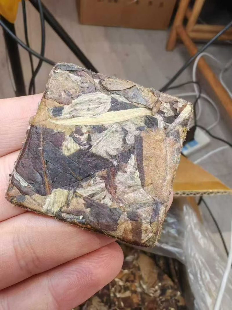 茶厂清仓换钱生茶龙珠、方片一口料全国发货一手货源