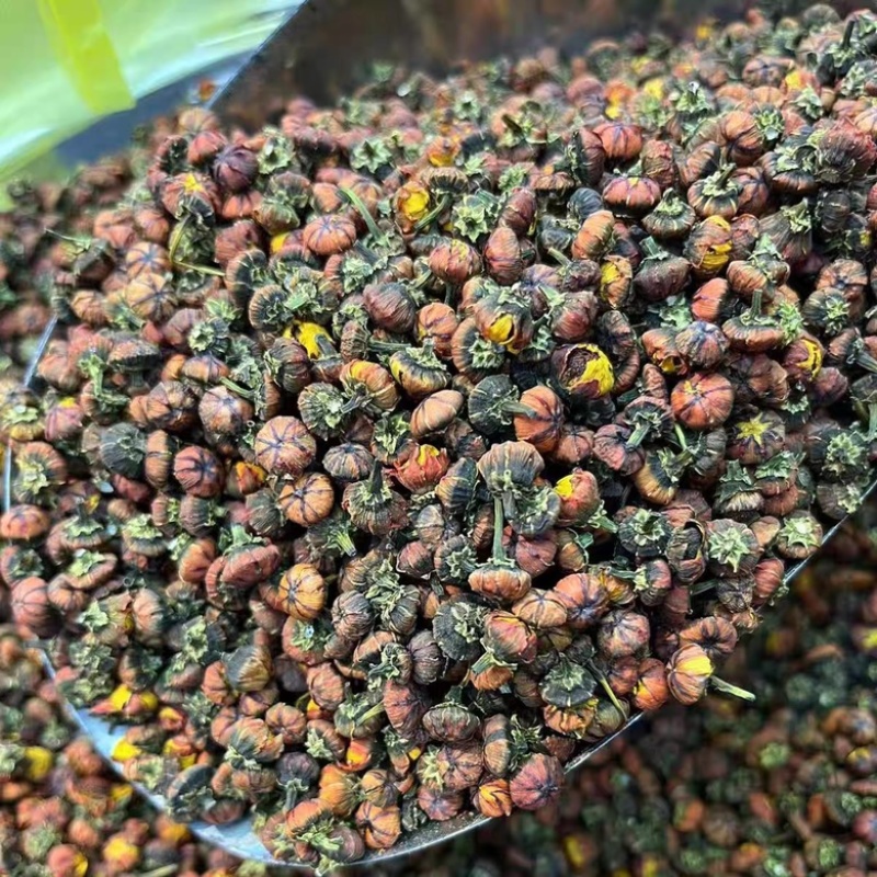 【昆仑胎菊】新货大量供应胎菊雪菊保证无硫批发零售