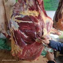 草膘牦牛肉