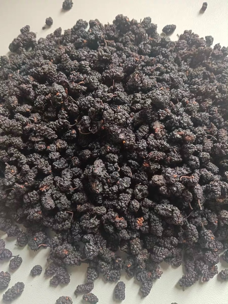 精品桑葚干新疆优质黑桑葚干无硫无染色无沙特级