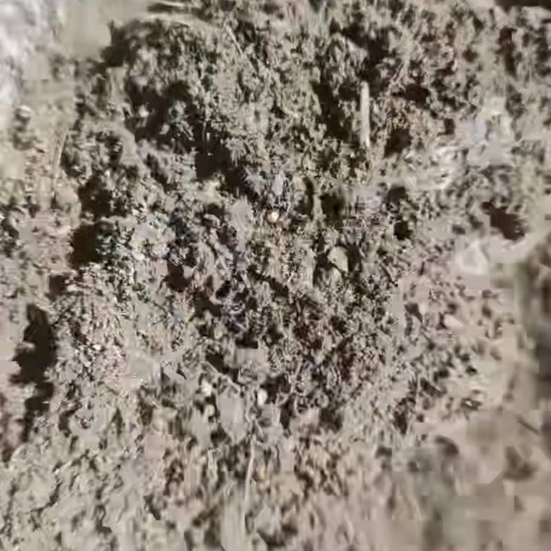 羊粪