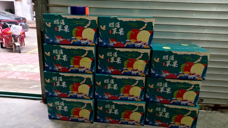 云南昭通丑苹果红富士