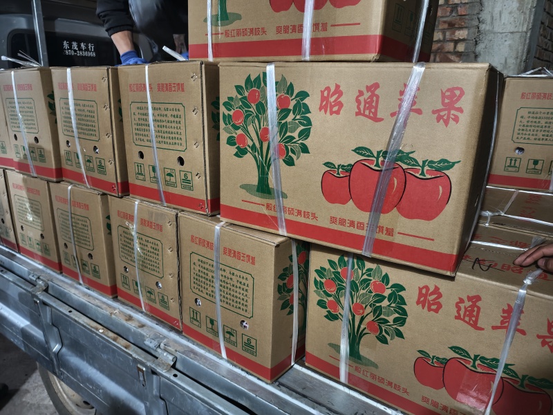 云南昭通丑苹果红富士