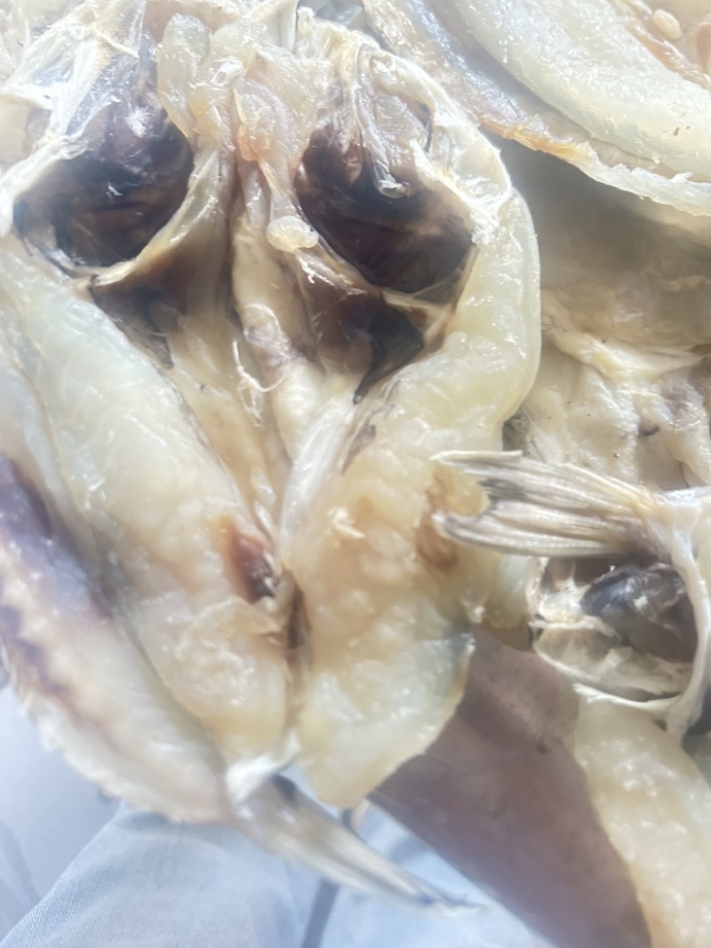 天然龟鱼干，产地直发