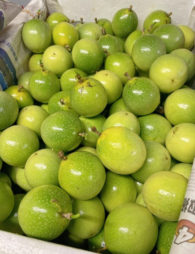 钦蜜9号百香果