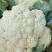 松花菜小米粒安徽青梗白面花菜货源足价格低