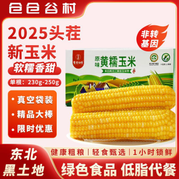 黑龙江25年头茬黏糯玉米真空包装