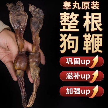 黄狗鞭狗肾泡酒煲汤滋补中药材狗鞭海狗肾