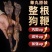黄狗鞭狗肾泡酒煲汤滋补中药材狗鞭海狗肾