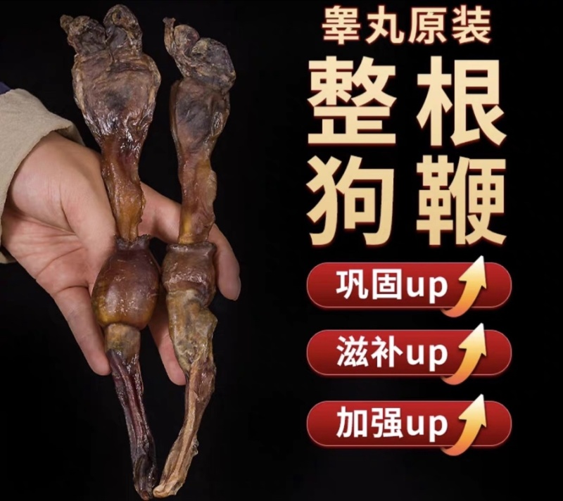 黄狗鞭狗肾泡酒煲汤滋补中药材狗鞭海狗肾