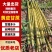 热卖精品黄皮甘蔗现货现发产地直发专业代办可视频看货量大优