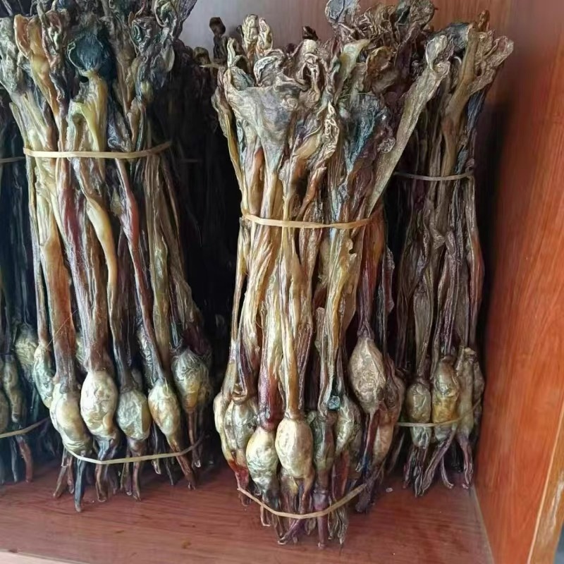 黄狗鞭狗肾泡酒煲汤滋补中药材狗鞭海狗肾