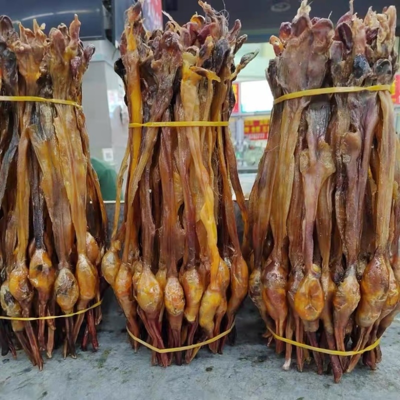 黄狗鞭狗肾泡酒煲汤滋补中药材狗鞭海狗肾