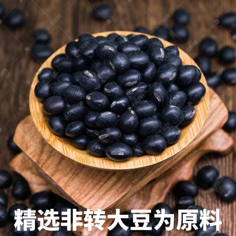 黑豆豆笋特产手工干货纯手工豆杆凉拌豆棒豆豆棒正宗火锅筋豆
