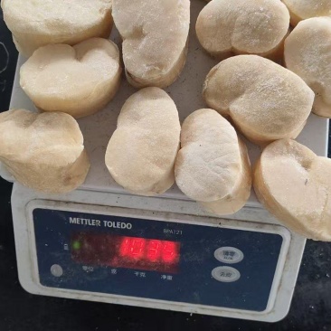 江瑶贝柱，瑶贝柱