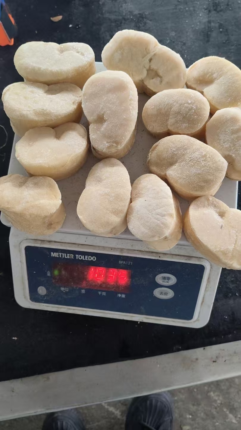 江瑶贝柱，瑶贝柱