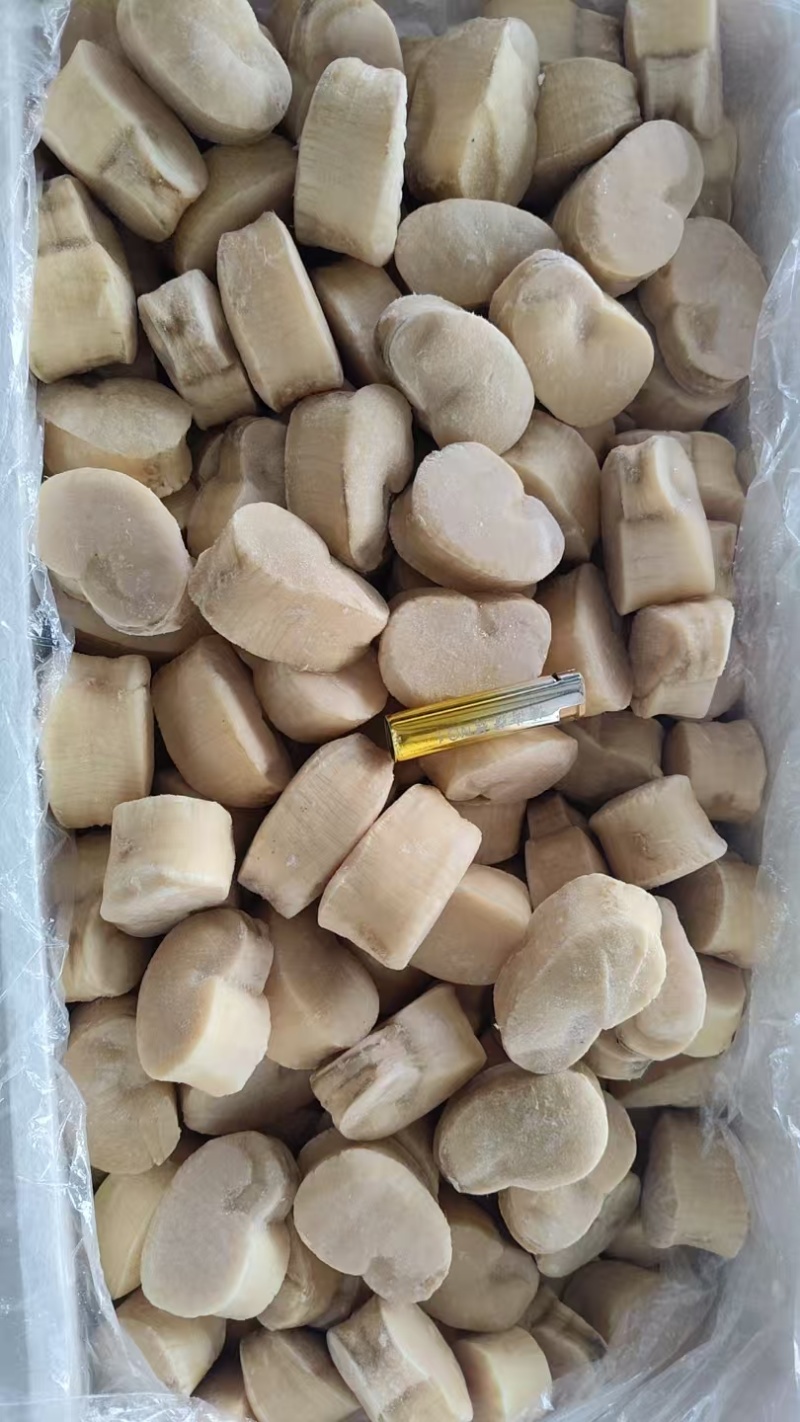 江瑶贝柱，瑶贝柱