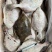 鲽鱼身，去头去尾鲽鱼，鲽鱼身三去，鲽鱼，三去鲽鱼