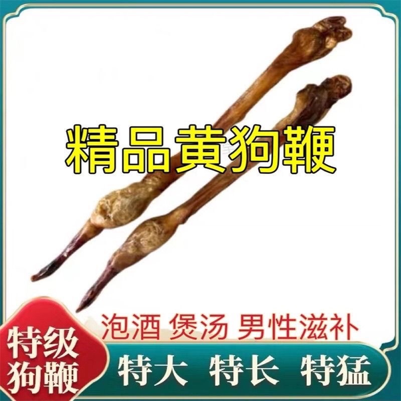 正宗黄狗鞭黄狗肾中药材滋补好货泡酒煲汤纯正狗鞭