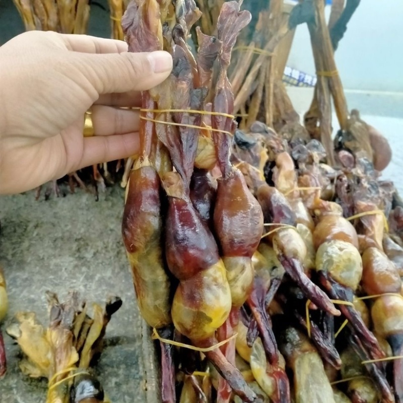 正宗黄狗鞭黄狗肾中药材滋补好货泡酒煲汤纯正狗鞭