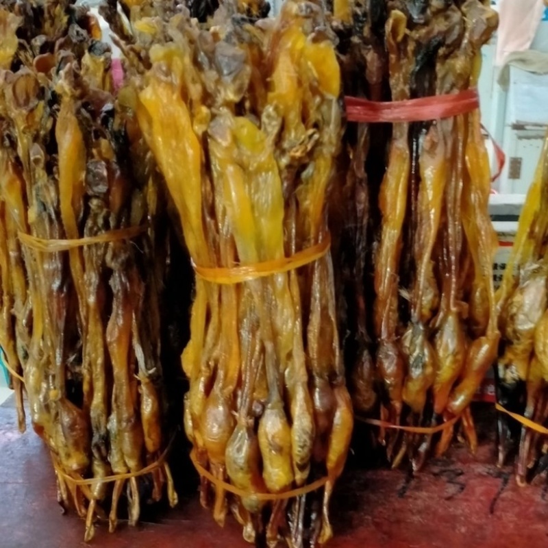 正宗黄狗鞭黄狗肾中药材滋补好货泡酒煲汤纯正狗鞭