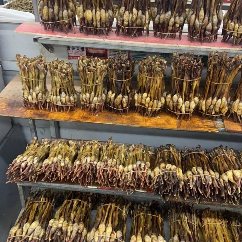 正宗黄狗鞭黄狗肾中药材滋补好货泡酒煲汤纯正狗鞭