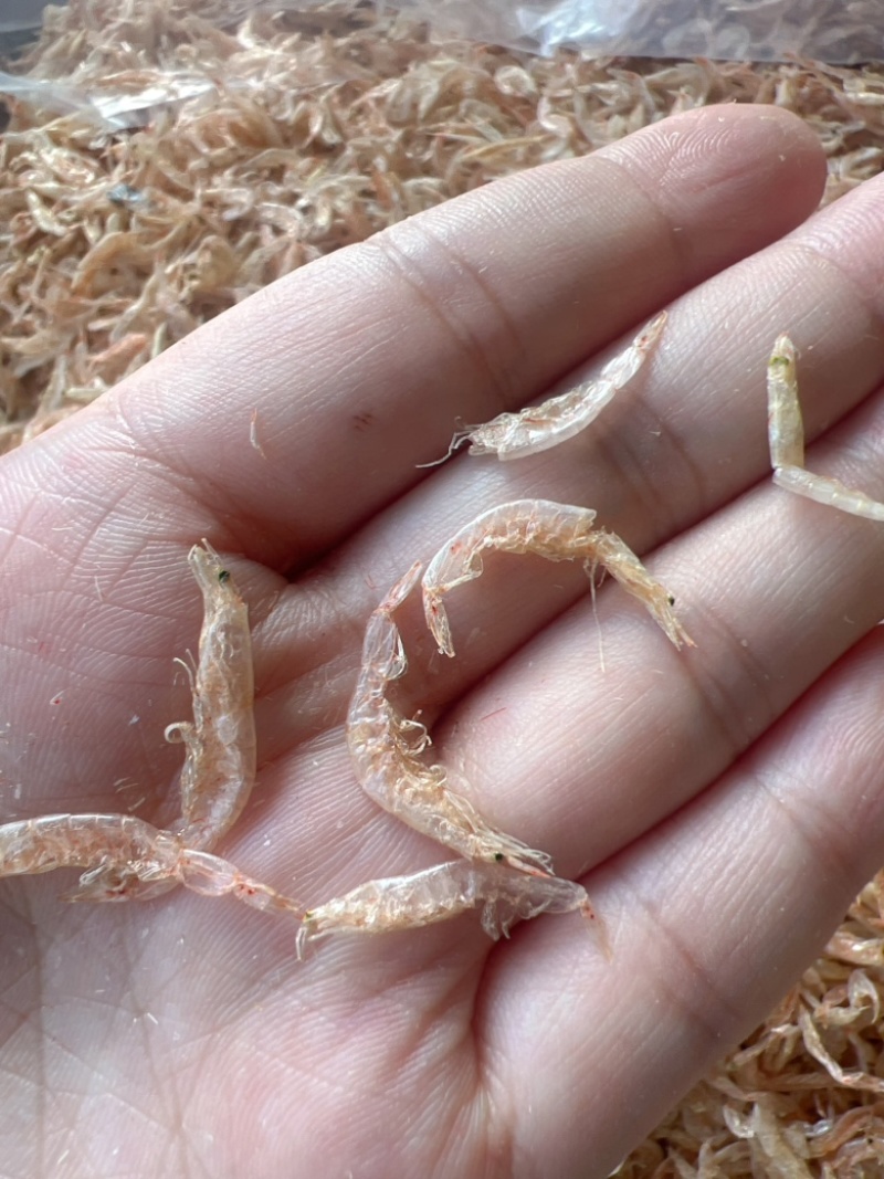 樱花虾皮地摊电视批发樱花虾皮淡干小虾米海米烤虾皮虾干