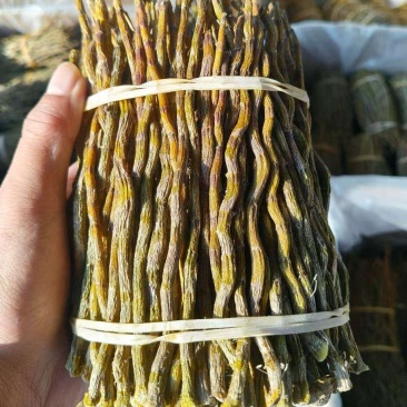 铁皮石斛捆条，基地直发，一手货源，胶质饱满