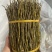 铁皮石斛捆条，基地直发，一手货源，胶质饱满
