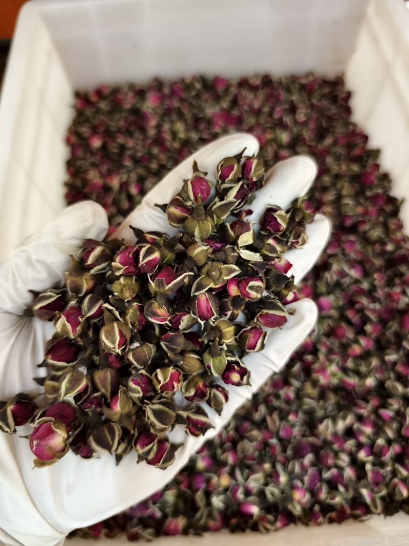 金边玫瑰云南玫瑰花金色花冠玫瑰花茶新货净货无硫