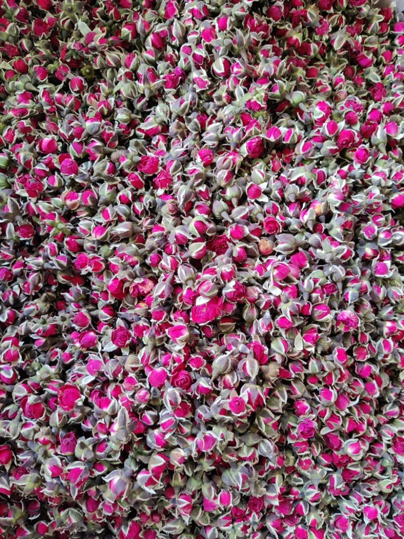 金边玫瑰云南玫瑰花金色花冠玫瑰花茶新货净货无硫