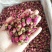 玫瑰花茶平阴玫瑰花新花干净无硫批发零售