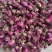 玫瑰花茶平阴玫瑰花新花干净无硫批发零售