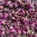玫瑰花茶平阴玫瑰花新花干净无硫批发零售