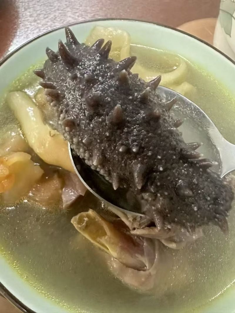 即食海参鲜食海参500g辽刺参非鲜活孕妇速冻独立包装海参