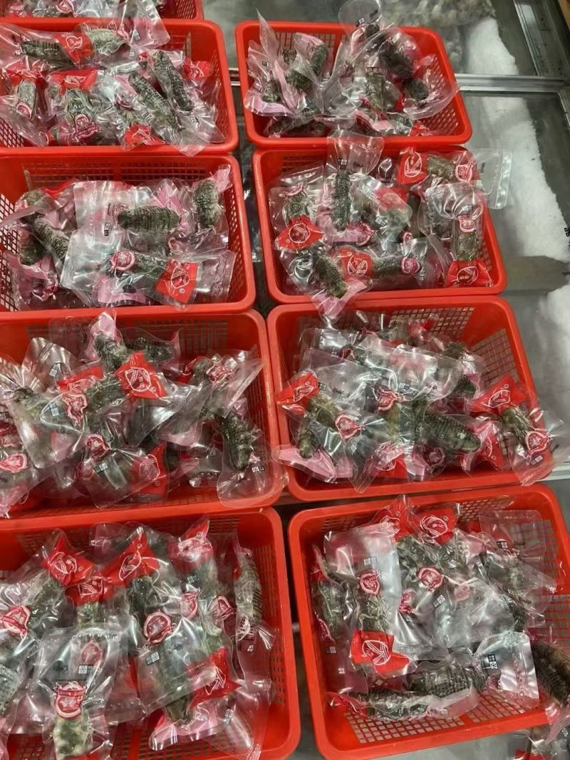 即食海参鲜食海参500g辽刺参非鲜活孕妇速冻独立包装海参