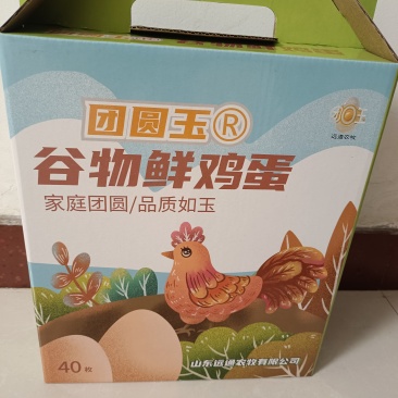 鸡蛋
